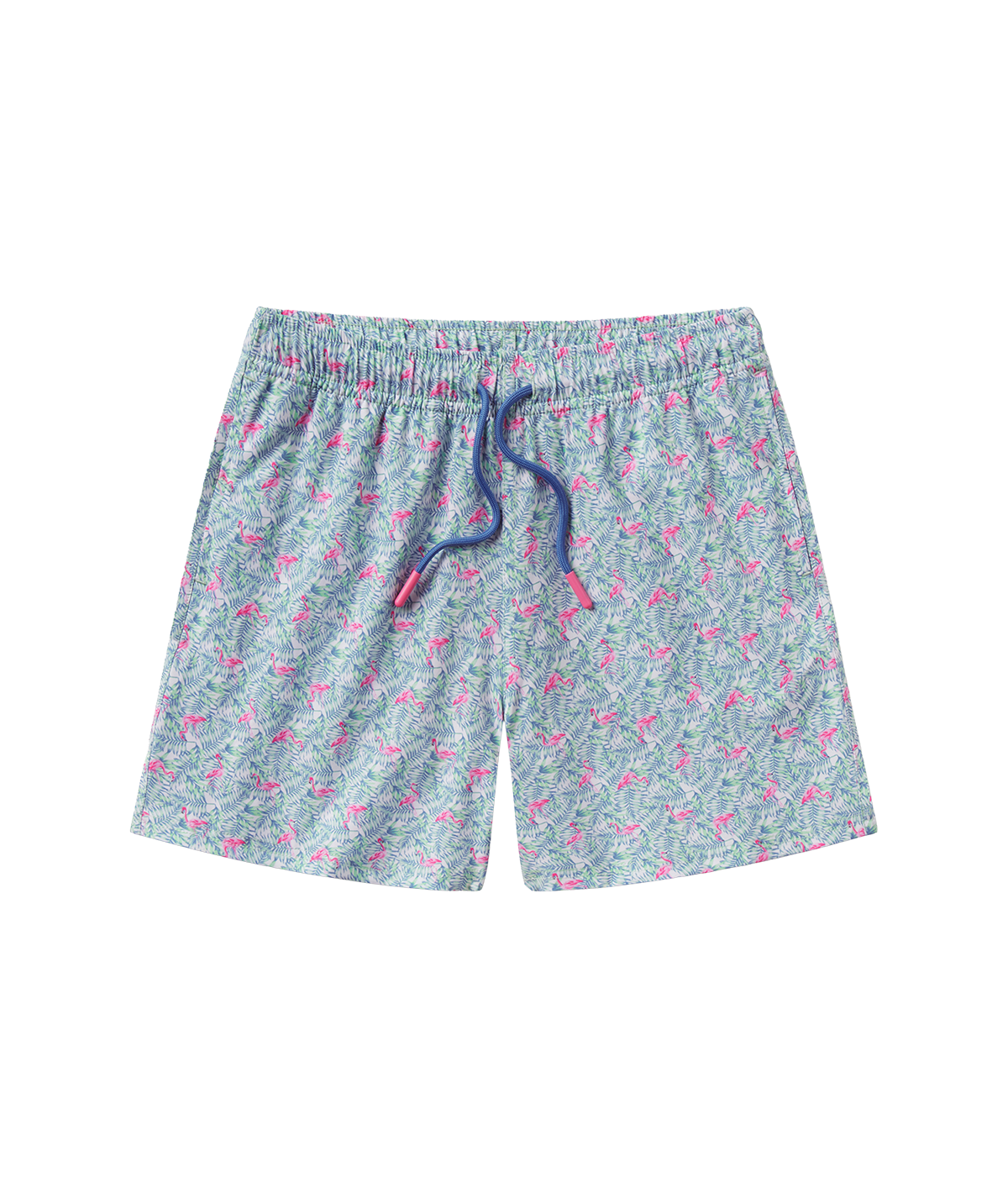 Boys Lets Flamingle Swim Shorts