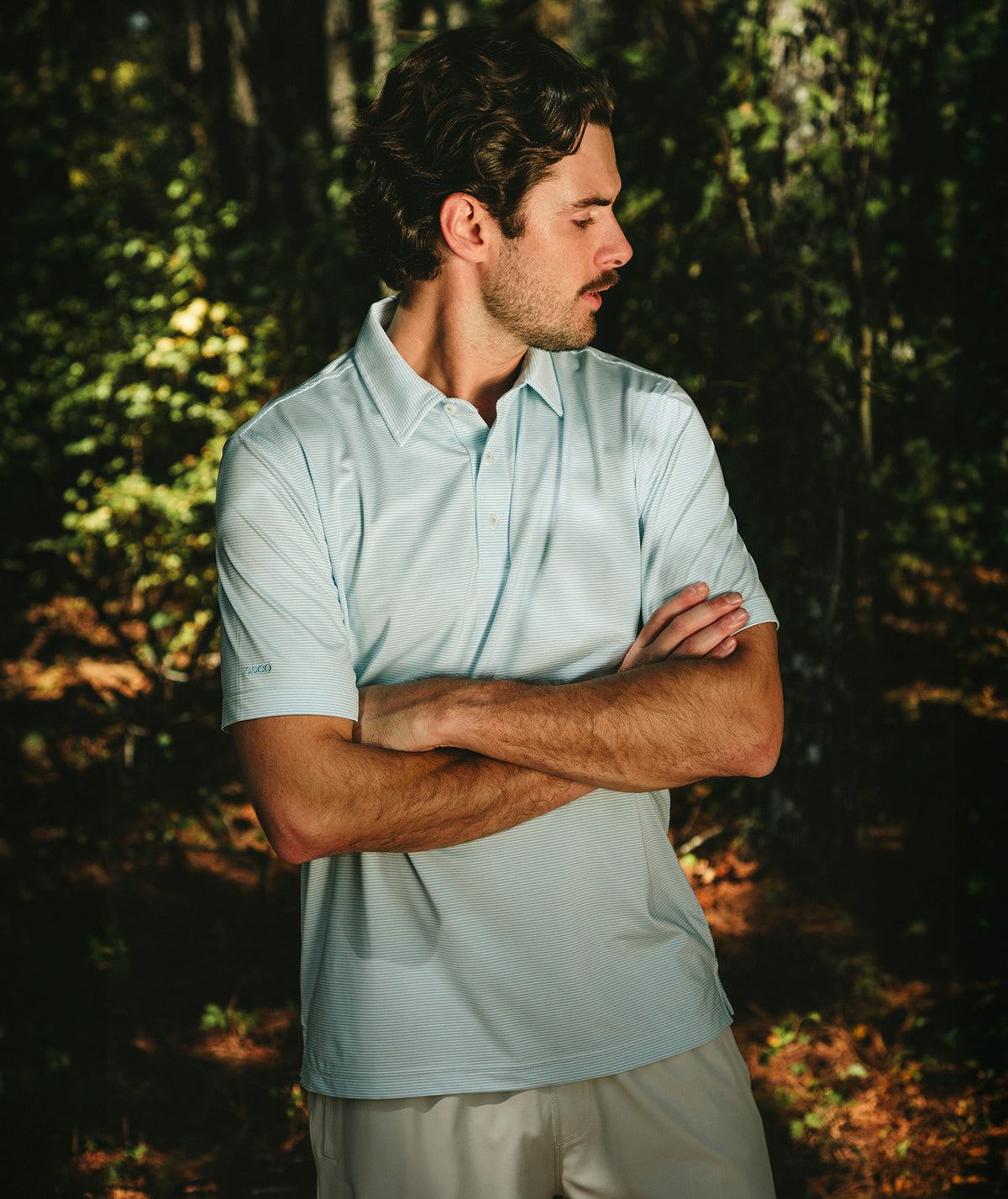 Heather Madison Stripe Polo - Alaskan Blue - image 3