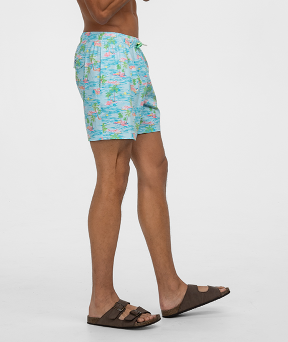 Island Time Swim Shorts